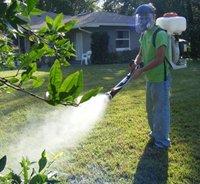 Mosquito Control (Organic)