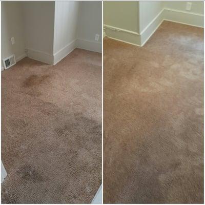 before and after pictures carpet cleaning Minneapolis