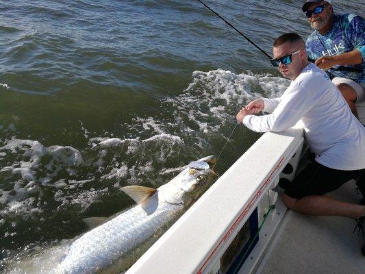 Big Tarpon