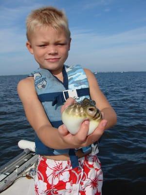 Rhett with a Blowfish that was caught in the cast net.