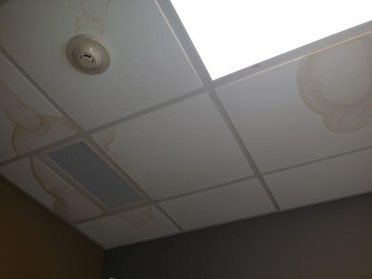 Stained ceiling tiles.