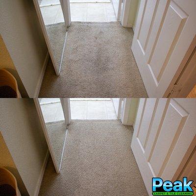 Carpet cleaning in Phoenix Arizona.