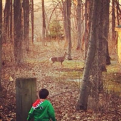 My son stalking the deer!