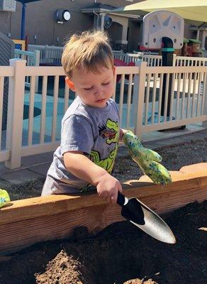 Planting bulbs in our garden