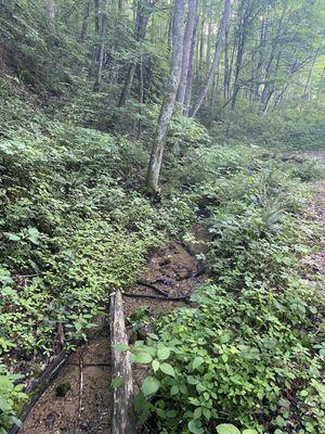 Babbling brook at our site