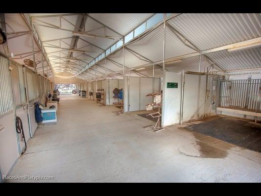 Inside the airy main stable with indoor and outdoor hot water wash and tack stations