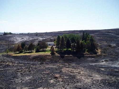 Proper defensible space greatly improves a home surviving a wildfire.