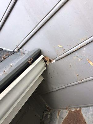 Replace damaged siding