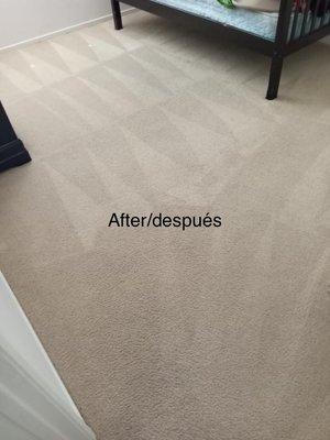 Edgar's Carpet Cleaning