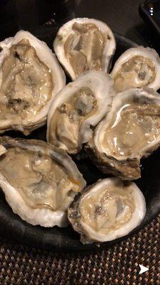 Fresh oysters on the half shell fresh and tasty!