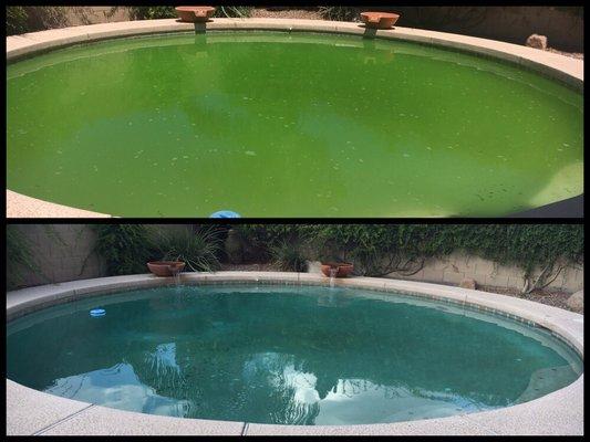 From green to clean