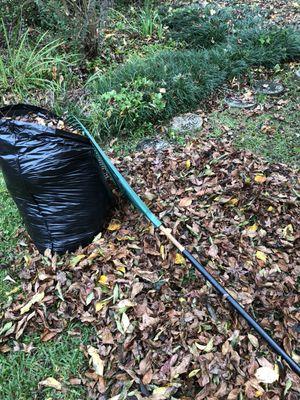 Leaf removal