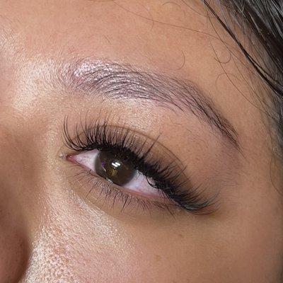 Wispy Hybrid lashes