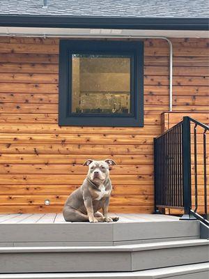 Cedar siding, black Hardie plank borders