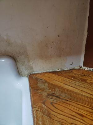 water damage to my counter tops