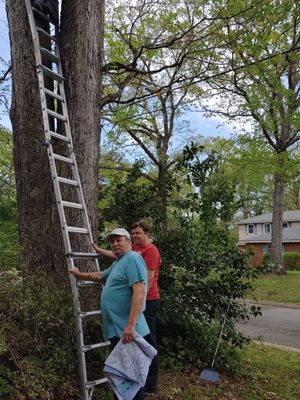 A Better Handyman