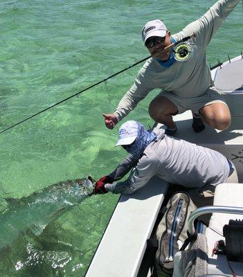 monster tarpon