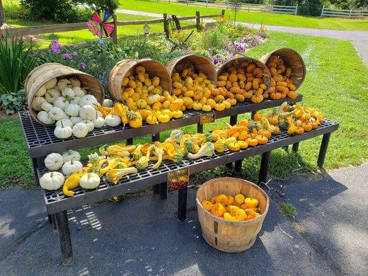 Ciesluk Farmstand