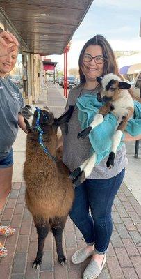 Tiny Hooves Rescue and Petting Zoo