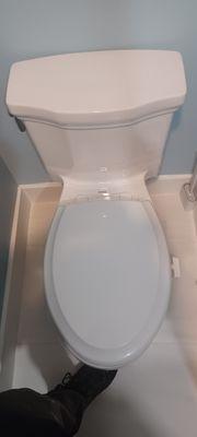 Toilet reset