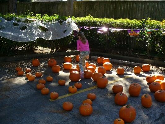 Client Appreciation Pumpkin Patch