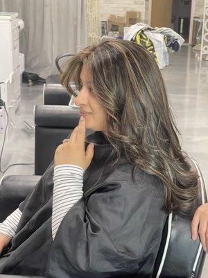 Highlights, color in grays, wash and blow dry