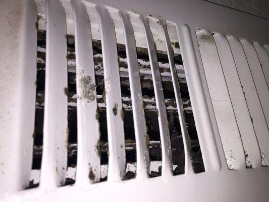 Mold or mildew in air vents