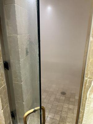 Steam Room