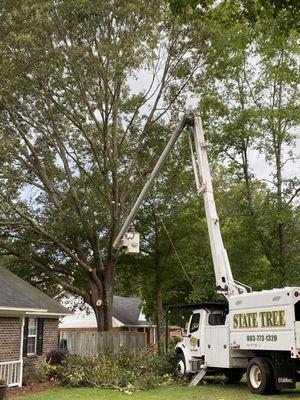 Trust us to take down trees while keeping your home safe.