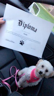 Neila's diploma!