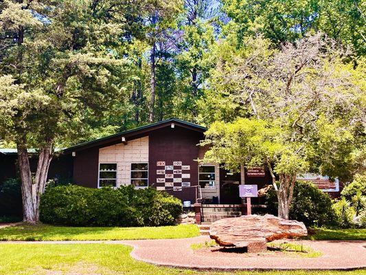 "The little Petrified forest museum"