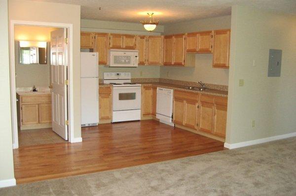 Open Floorplan Kitchen/Livingroom/Bathroom