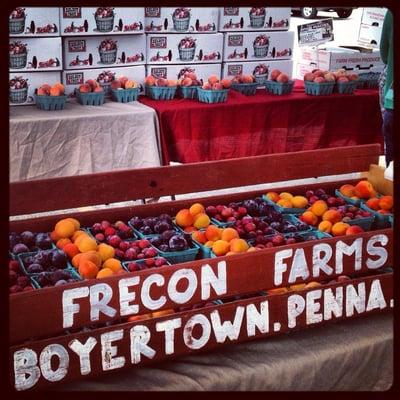 Frecon Farm, resident orchard at the market.