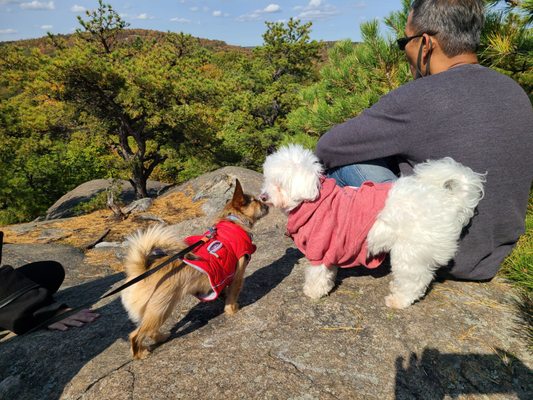 Haru and Kuma, friends - Wyanoki High Point