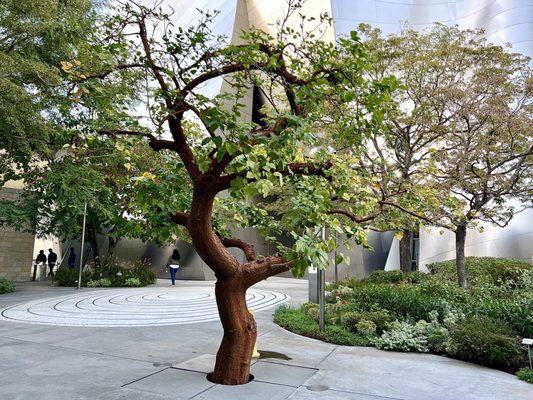 The Blue Ribbon Garden is located above the parking garage Lillian Disney's love of gardening influenced the garden design & landscaping.