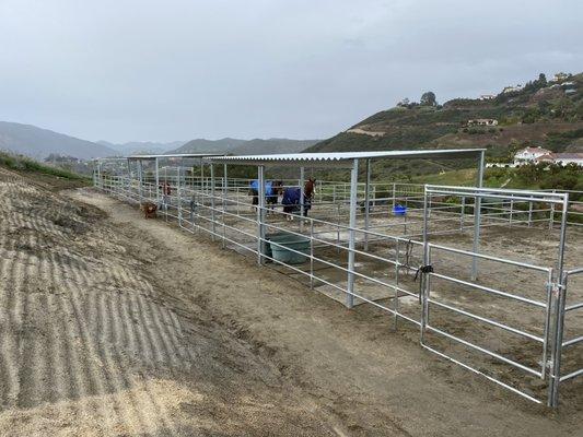 Horse corrals and shelters