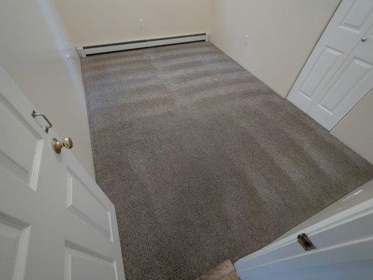 Move out clean and carpet clean