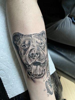 Dog portrait tattoo