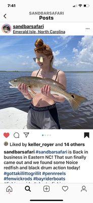 Another Red Drum