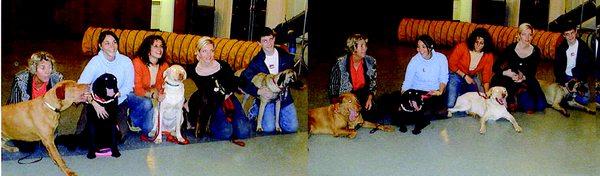 Great Dog Training Classes