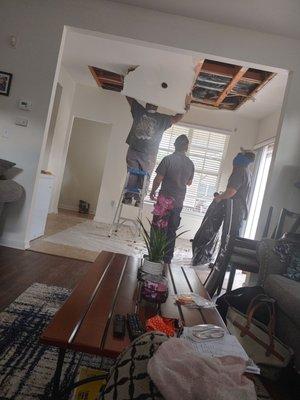 Removal of damage dinning room ceiling