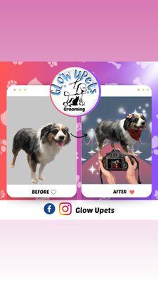 Glow Upets Grooming