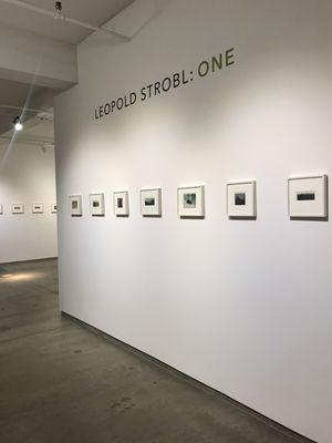 "Leopold Strobl: ONE" (on view October, 2020 - January 2021)