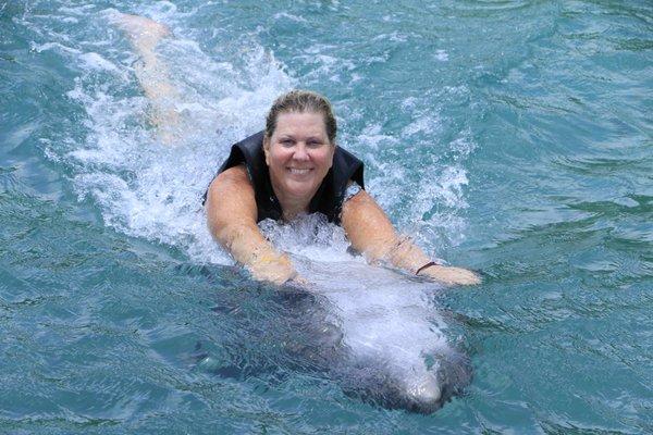 Dolphin Experience