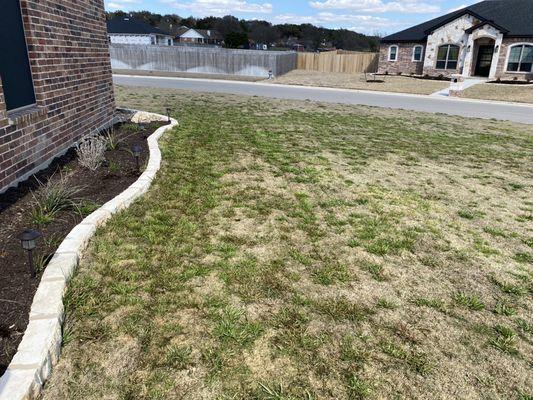 I guess I could say my yard is green at least, just weeds not grass. Granted the grass is dormant currently.