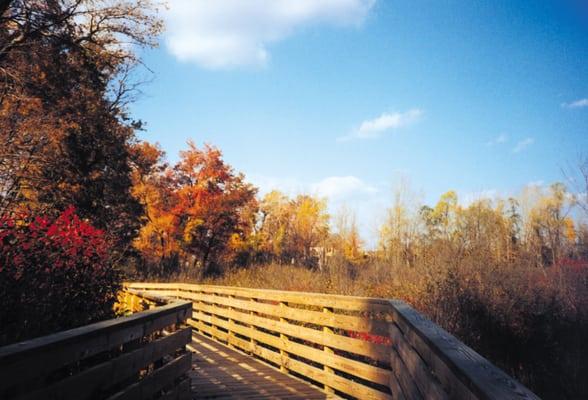 Miles of Walking Trails