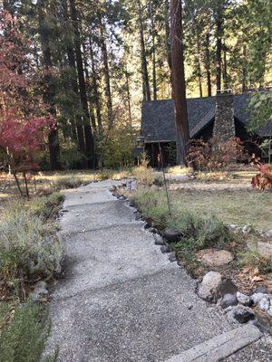 Pinecone A cabin