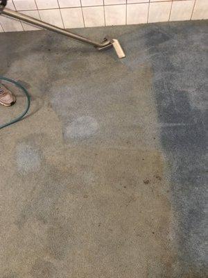 Tough pet stain removal!