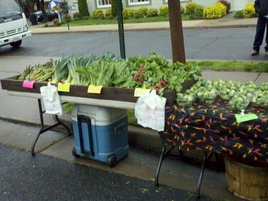 Beautiful asparagus, leeks, lettuce, adishes, brussels sprouts...