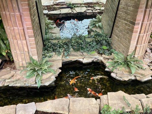 Koi pond with waterfalls.